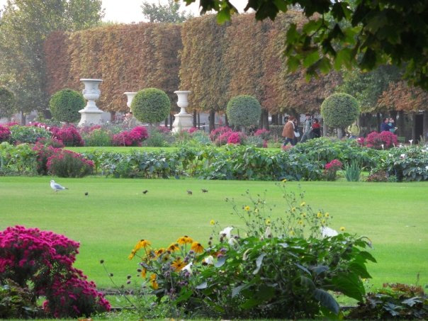Jardin de Tuileries.