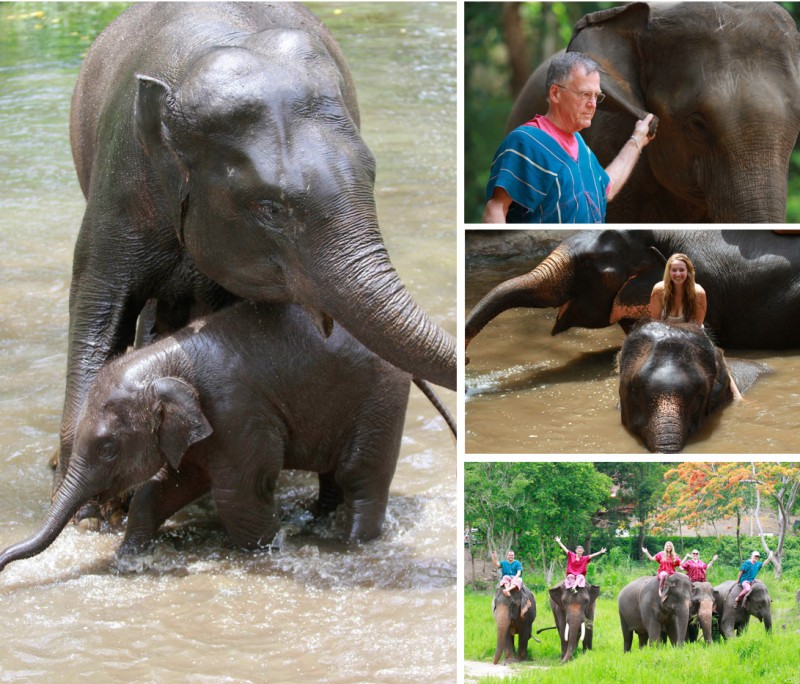 Mother and baby play in the water at the Patara Elephant farm (left). My father-in-law leads his elephant by the ear (upper right) as we prepare to go to the river for a swim, which my niece loved (center right).  What a bunch of happy elephant riders we were (bottom right)!