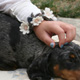 Karin Wagner Daisy Bracelet