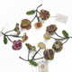 Sophie Digard Three Flower Brooch