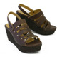Coclico Metalmark