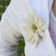 Karin Wagner Edelweiss Brooch