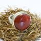 Jamie Joseph Round Carnelian Ring