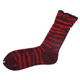 Antipast Zebra Socks