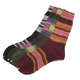 Antipast Gradation Socks