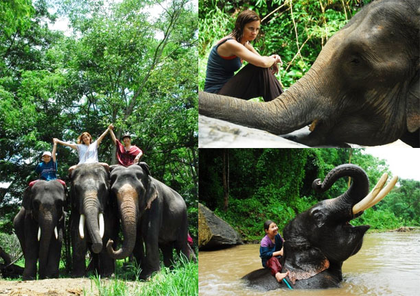 elephantride