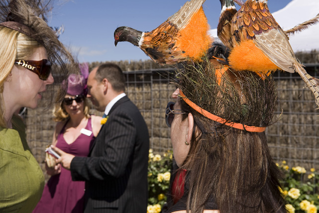 birdview Martin Parr, "The Melbourne Cup, Australia." 2008, pigment print, 40 x 60 inches, courtesy Janet Borden, Inc.