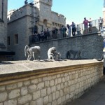 TowerofLondon