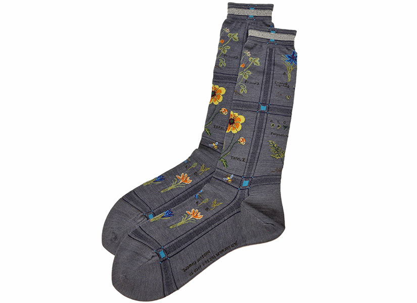 antipast socks online