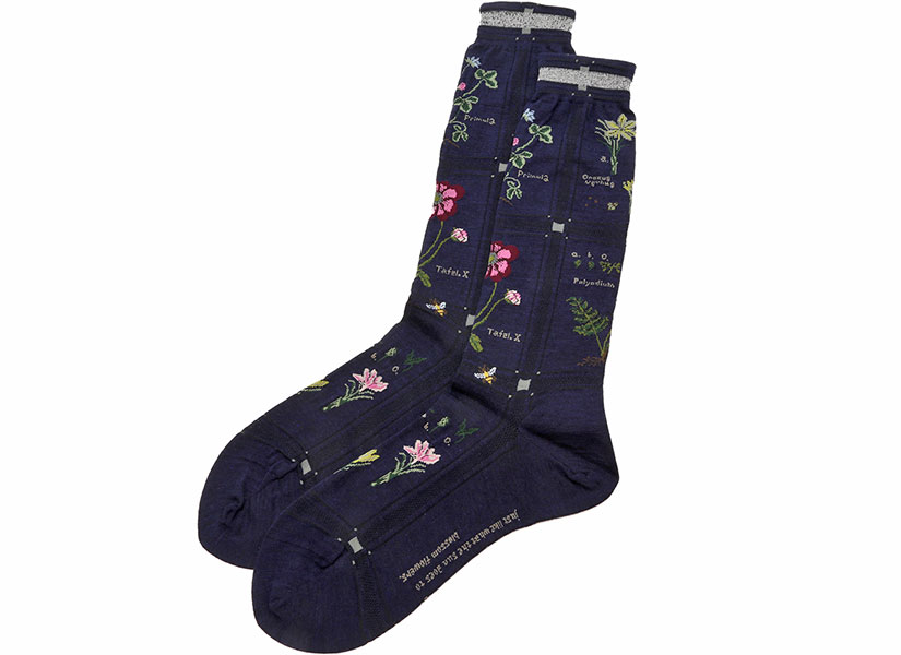 antipast socks online