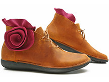 Loints of Holland Rosa