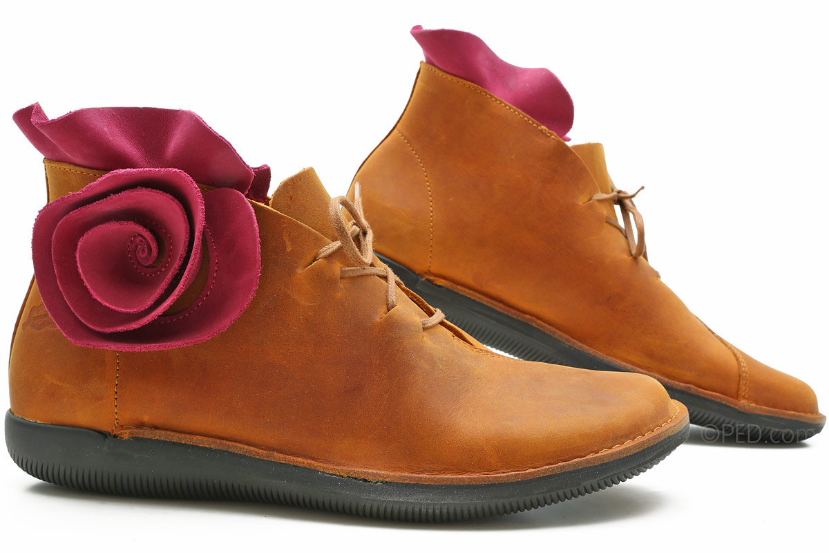 Loints of Holland Rosa