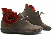 Loints of Holland Rosa