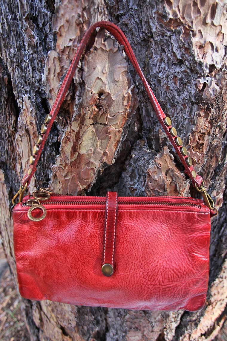 Fiorentini and Baker Camila Bag in Red