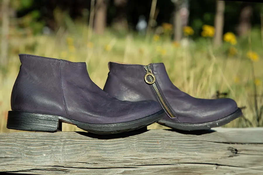 Fiorentini and Baker Evo