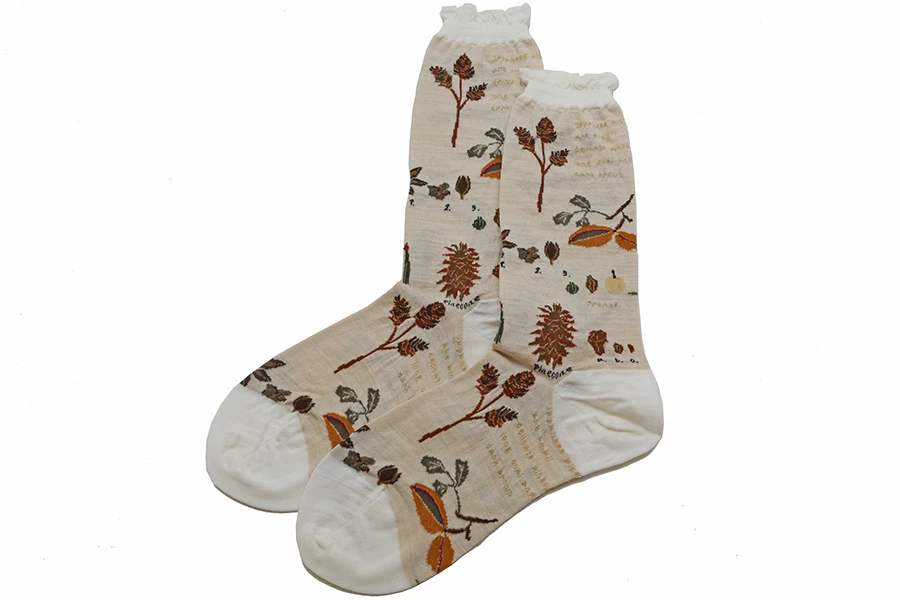 Antipast Botany Socks in Ivory