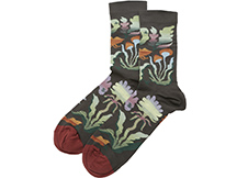 Bonne Maison Terre Socks