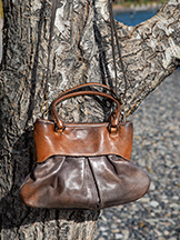 AU79 Alchimia Bitsy Bag